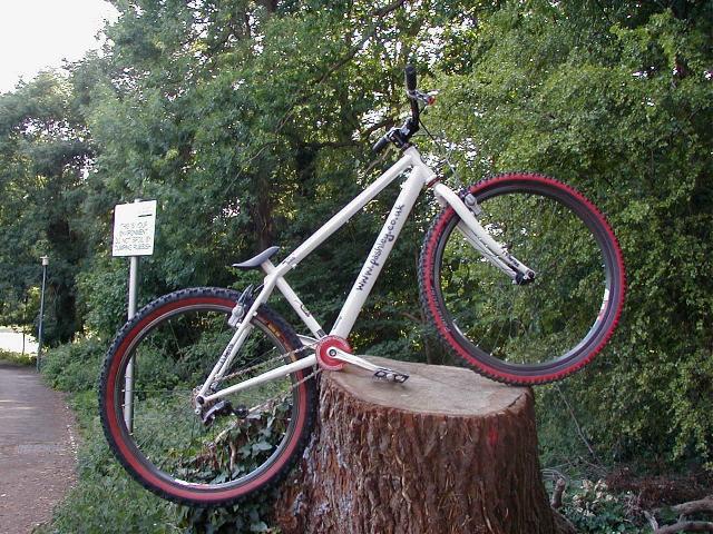 {Pashley 26mhz}
