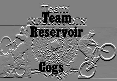 {Team Reservoir Cogs}